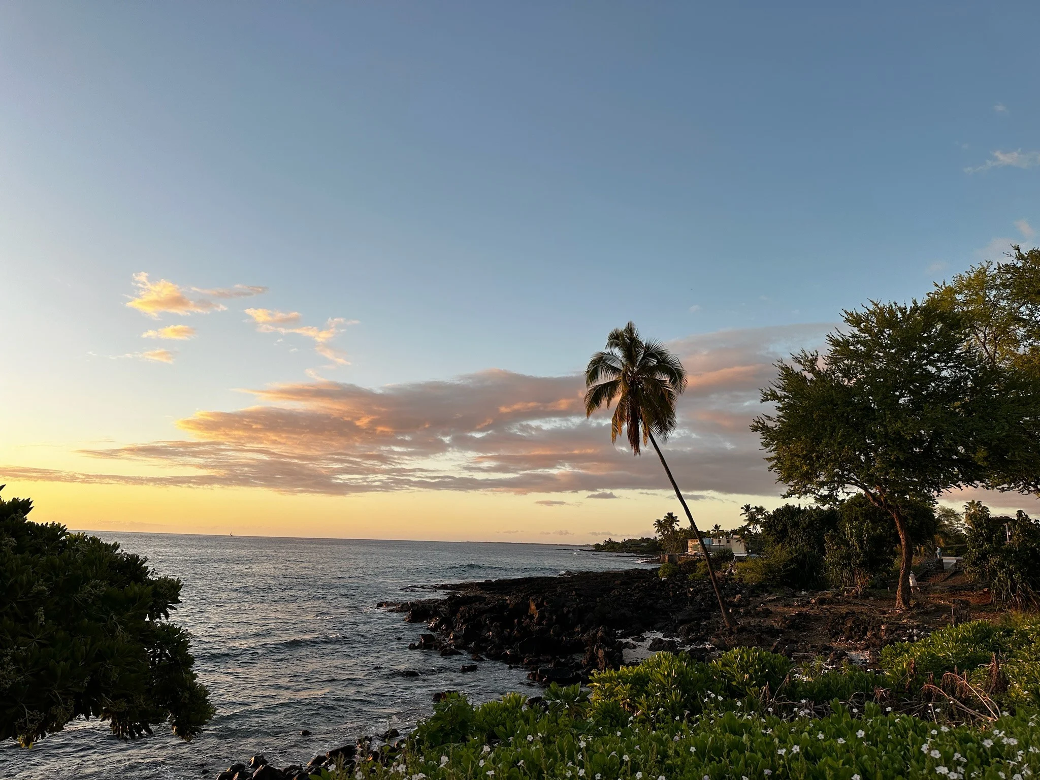 Tropical Paradise Escape