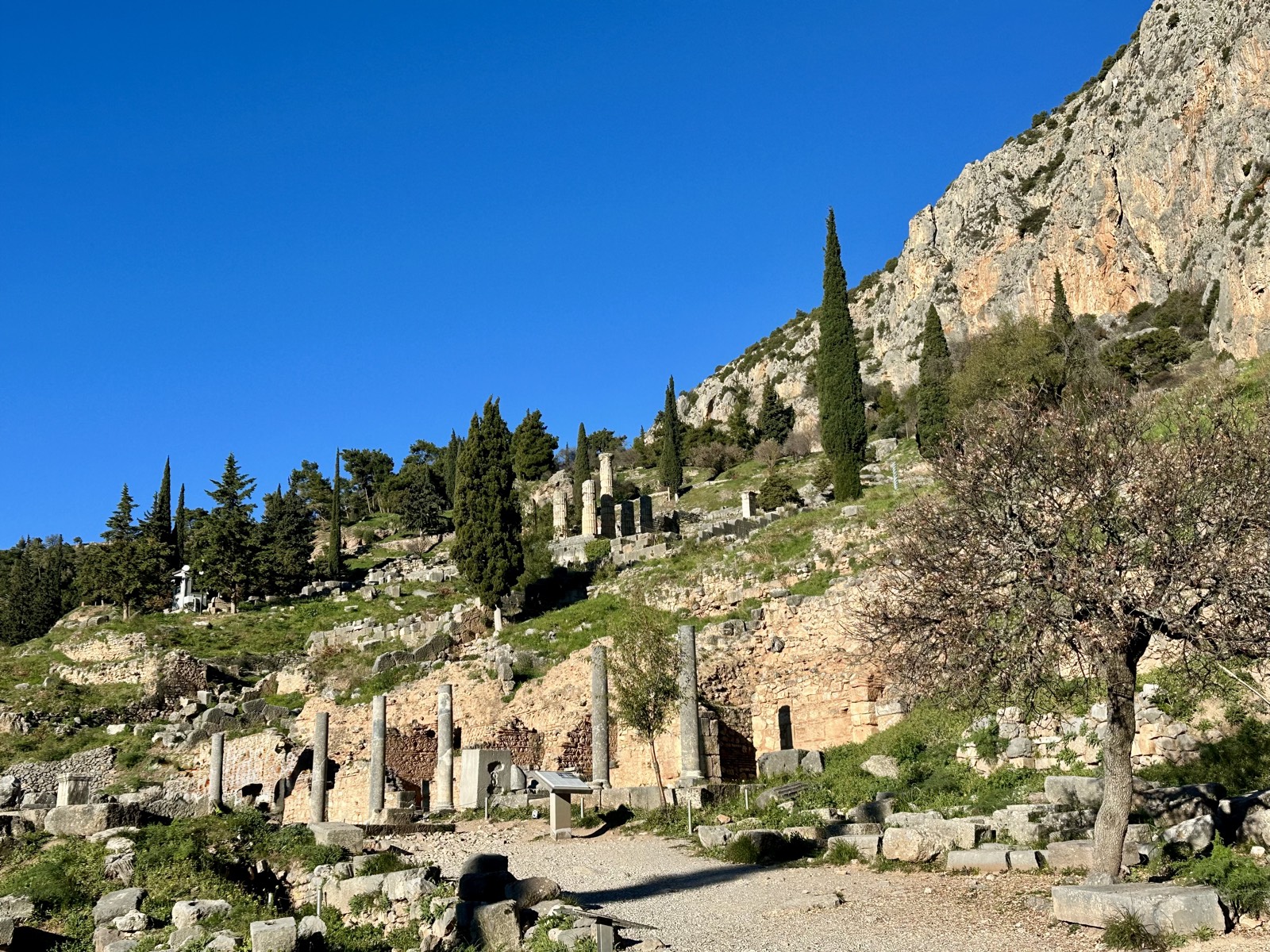 The hillside ruins and temple terraces of Delphi, Greece
