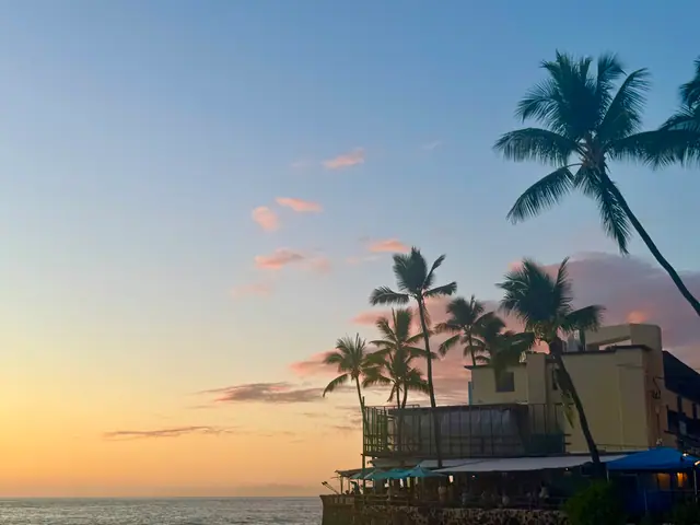 Palm trees and beach houses against a soft pastel sunset sky