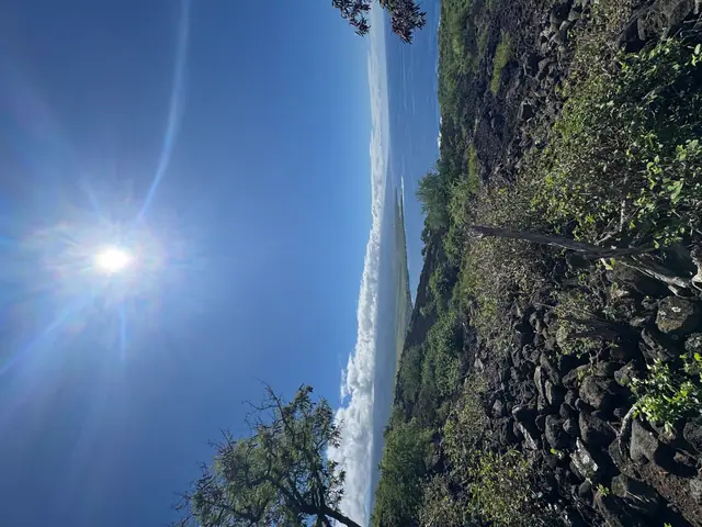Sunlight over the volcanic Big Island coastline and open Pacific