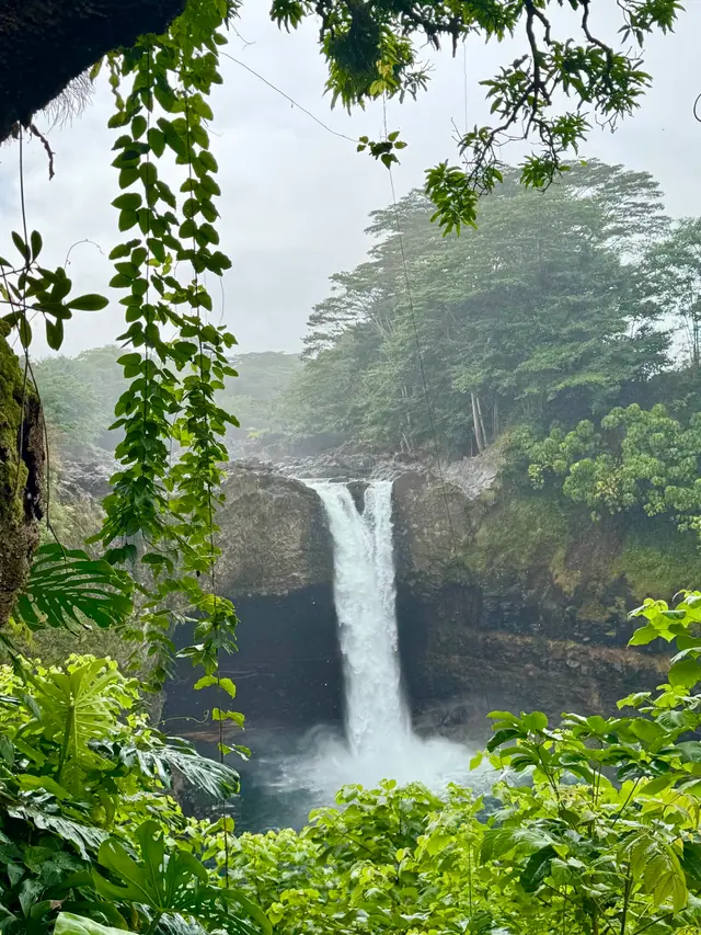 Rainbow Falls tumbling through lush green rainforest in Hawaii