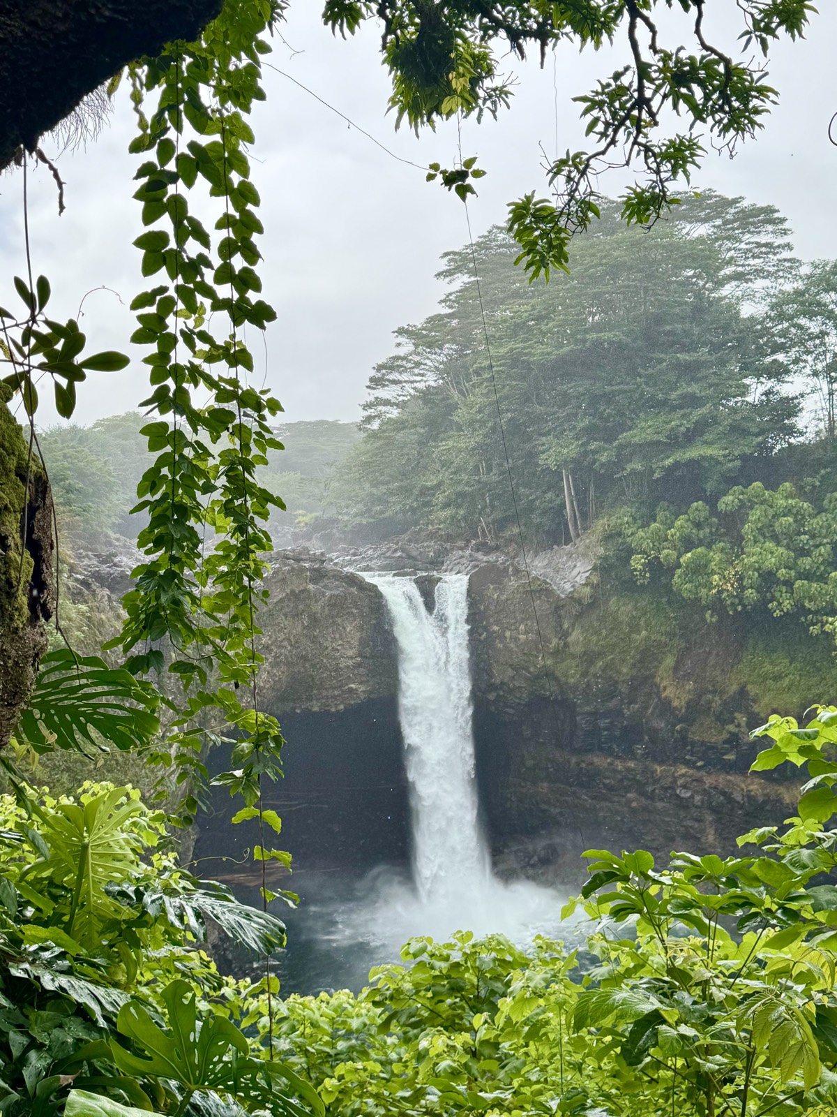 Rainbow Falls tumbling through lush green rainforest in Hawaii