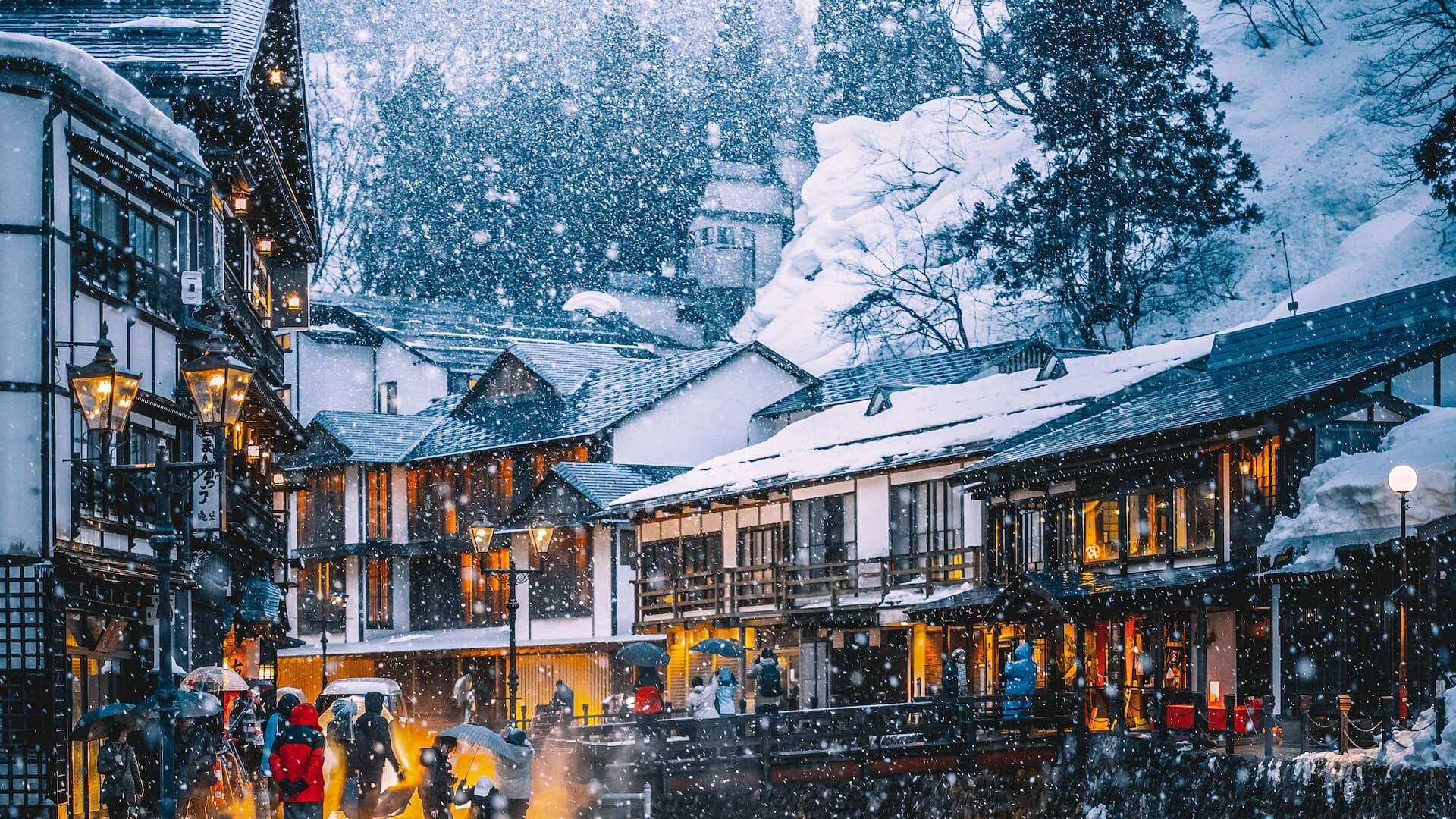   Happo Village during a fluffy snowfall.