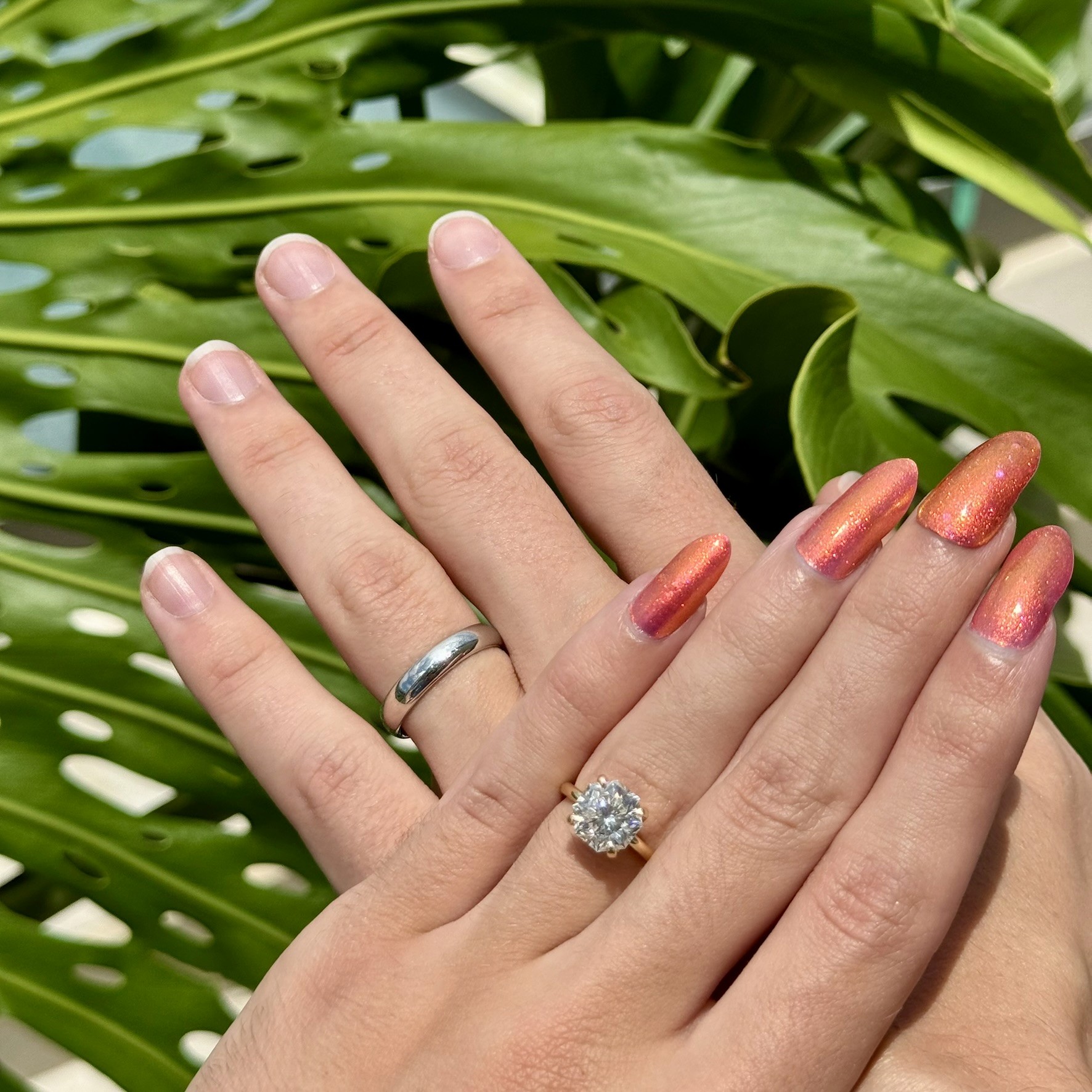 Engagement rings resting on a plant
